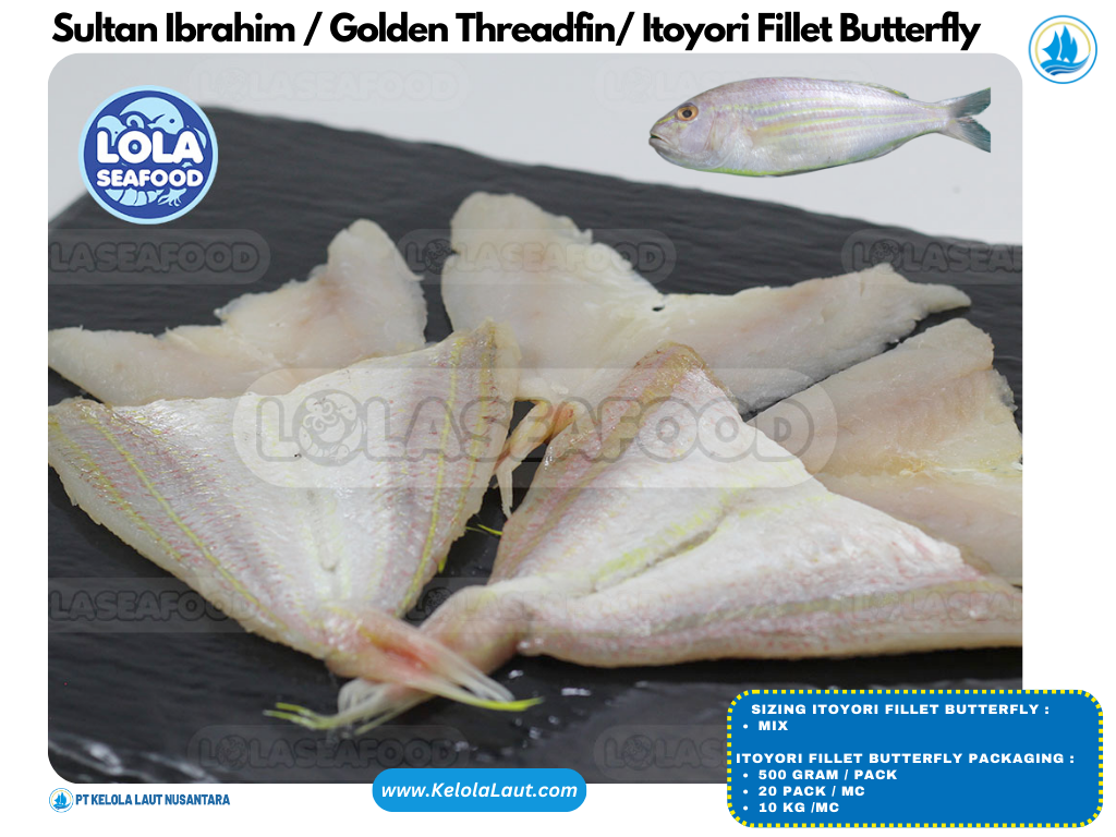 Itoyori / Golden Threadfin Fillet Butterfly 